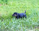 20160605-shrw-0547