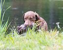 20160605-shrw-0673