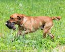 20160605-shrw-0707