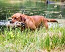20160605-shrw-0734