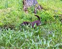 20160605-shrw-0760