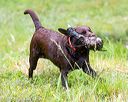 20160605-shrw-0777