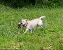 20160605-shrw-0931