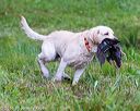 20160605-shrw-0942