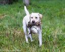 20160605-shrw-1100
