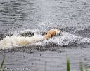 20160605-shrw-1112