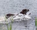 20160605-shrw-1170