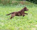 20160605-shrw-1202