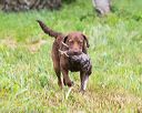 20160605-shrw-1219