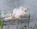 20160605-shrw-1440