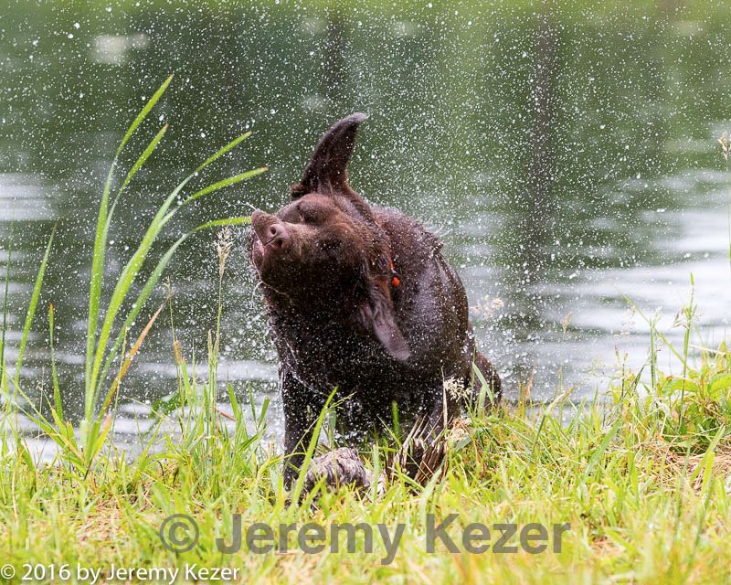 20160605-shrw-0803.jpg