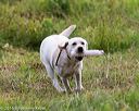 20160717-pwl-0005
