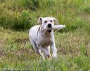 20160717-pwl-0006
