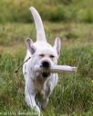 20160717-pwl-0014