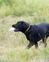 20160717-pwl-0034