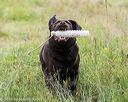 20160717-pwl-0059