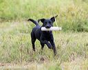 20160717-pwl-0074