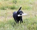 20160717-pwl-0079