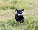 20160717-pwl-0080
