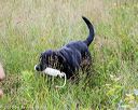 20160717-pwl-0102