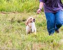 20160717-pwl-0116