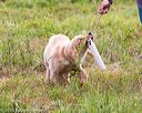 20160717-pwl-0123