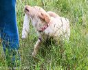 20160717-pwl-0127