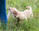 20160717-pwl-0128