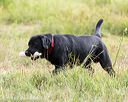 20160717-pwl-0138