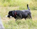 20160717-pwl-0140