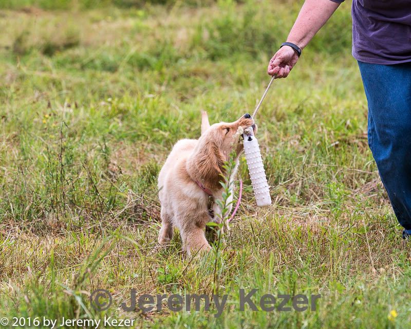 20160717-pwl-0121.jpg