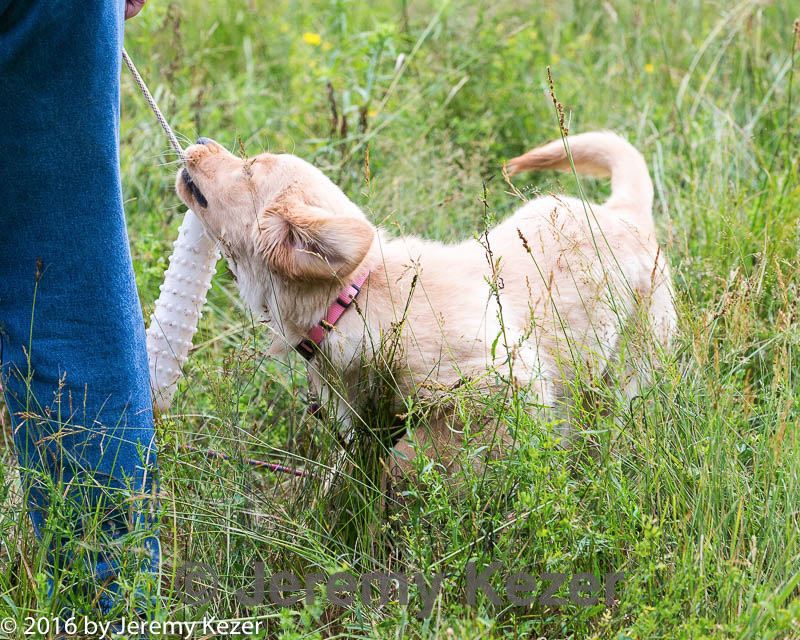 20160717-pwl-0128.jpg