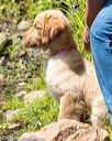 20160717-pww-0021