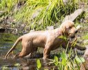 20160717-pww-0039