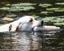 20160717-pww-0055