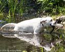 20160717-pww-0059