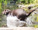 20160717-pww-0077