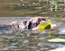 20160717-pww-0091