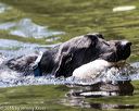 20160717-pww-0124