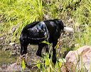 20160717-pww-0131