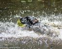 20160717-pww-0140