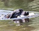 20160717-pww-0143