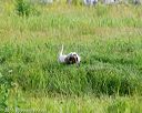 20160717-wcl-0071