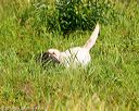 20160717-wcl-0143