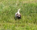 20160717-wcl-0275