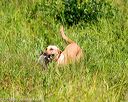 20160717-wcl-0390