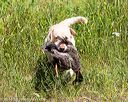 20160717-wcl-0410