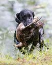 20160717-wcw-0701