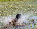 20160717-wcxw-0043