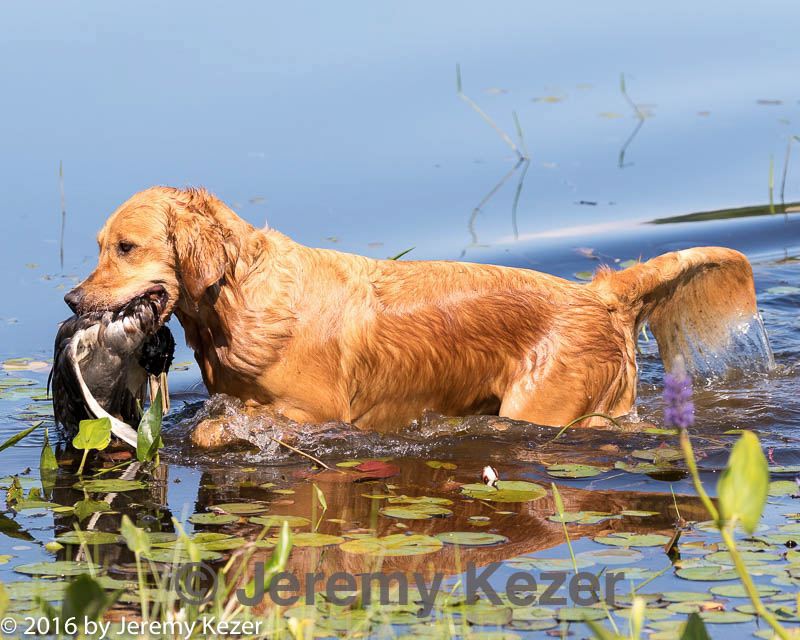 20160717-wcxw-0218.jpg